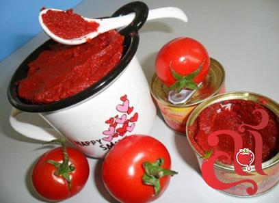 قیمت خرید رب گوجه کارخانه ای + عکس
